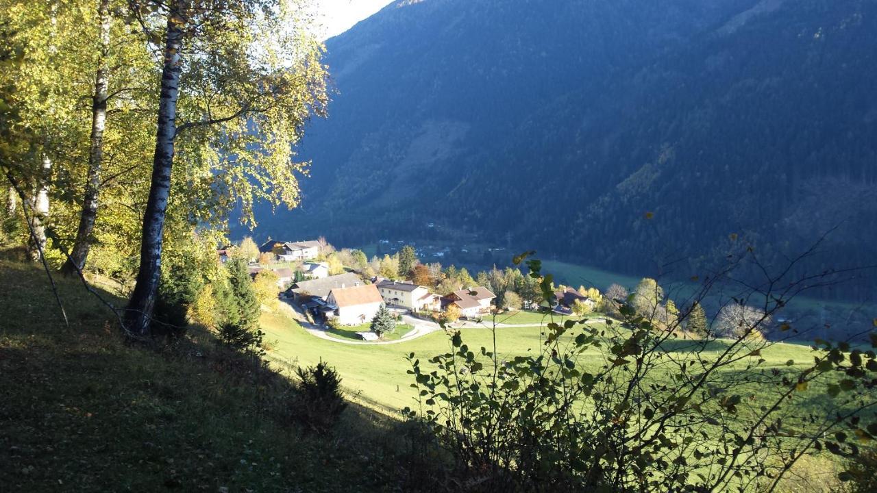 Ferienwohnung Am Bauernhof Zechner Heidi Flattach Dış mekan fotoğraf