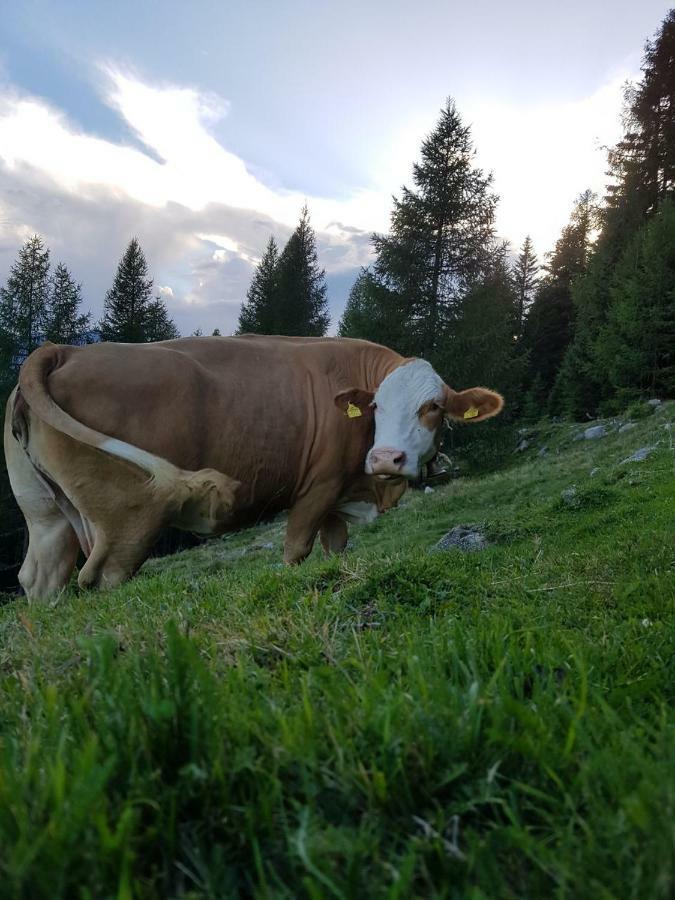 Ferienwohnung Am Bauernhof Zechner Heidi Flattach Dış mekan fotoğraf